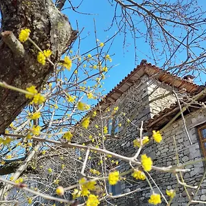 Maison d'hôtes Bujtina Tusha